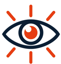 vision